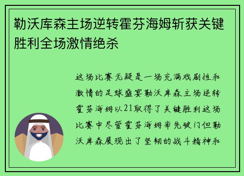 勒沃库森主场逆转霍芬海姆斩获关键胜利全场激情绝杀